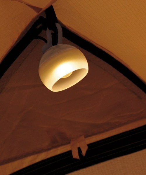 たねほおずき SNP0119A0108_x_a011.jpg