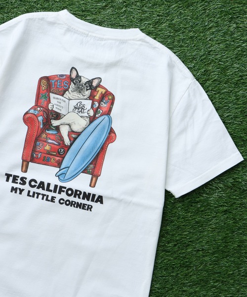 THE ENDLESS SUMMER | TES BOX LOGO BOA COACH JKT / 裏ボアコーチ