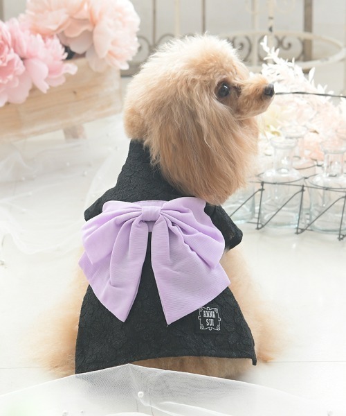 ANNA SUI | Buyee日本代购服务 | 于ZOZOTOWN购物