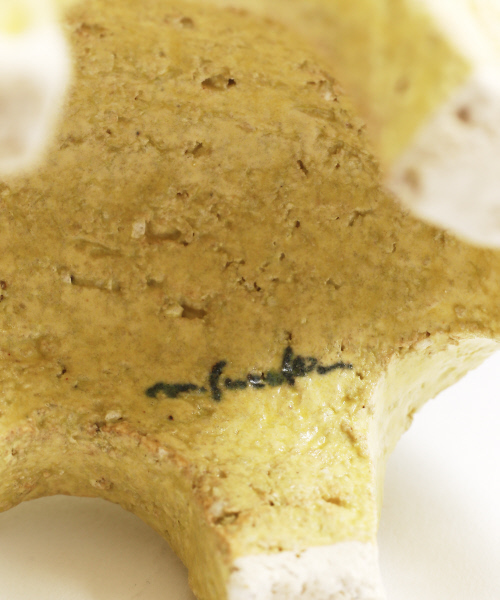 COLLEX | 【collex × 鈴木マサル】コラボオブジェ ゾウ - Buyee, un