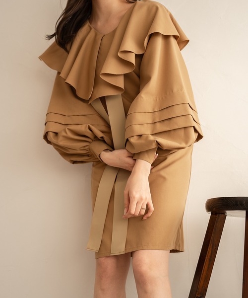 mideal poodle middle coat / プードルミドルコート ミディアム