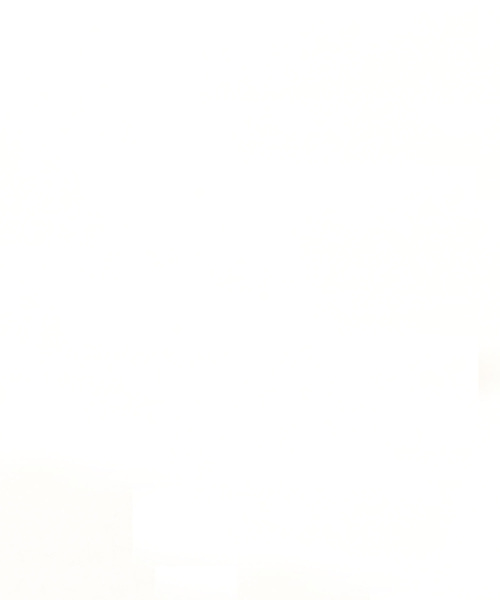 AKM | ZIP VALSTARINO - Buyee, an Online Proxy Shopping Service 