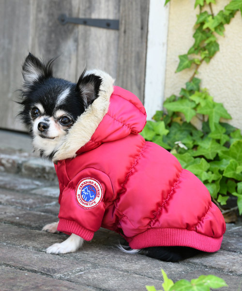 Calulu Calulu カルル ペットハグ リュック 犬用品 お散歩 Buyee An Online Proxy Shopping Service Shop At Zozotown Bot Online