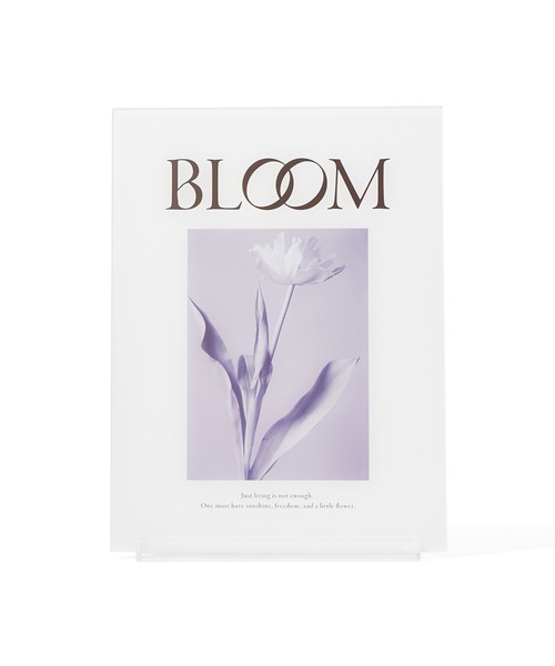 FRANCFRANC | アクリル アートボード L ホワイト - Buyee, an Online